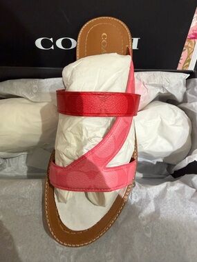Coach Harlan Sig Sandal